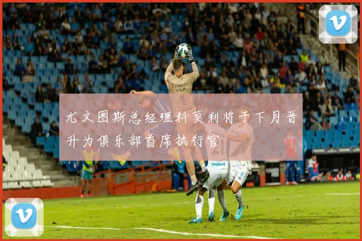 尤文图斯总经理科莫利将于下月晋升为俱乐部首席执行官