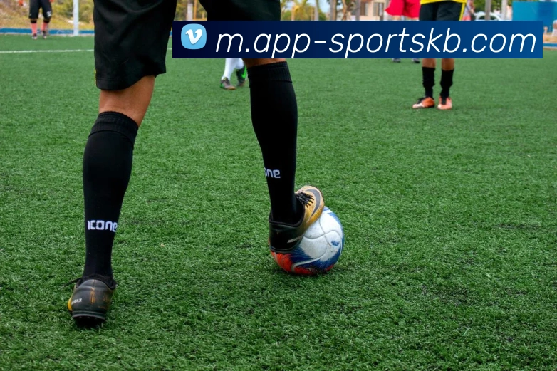 KB体育平台生态图