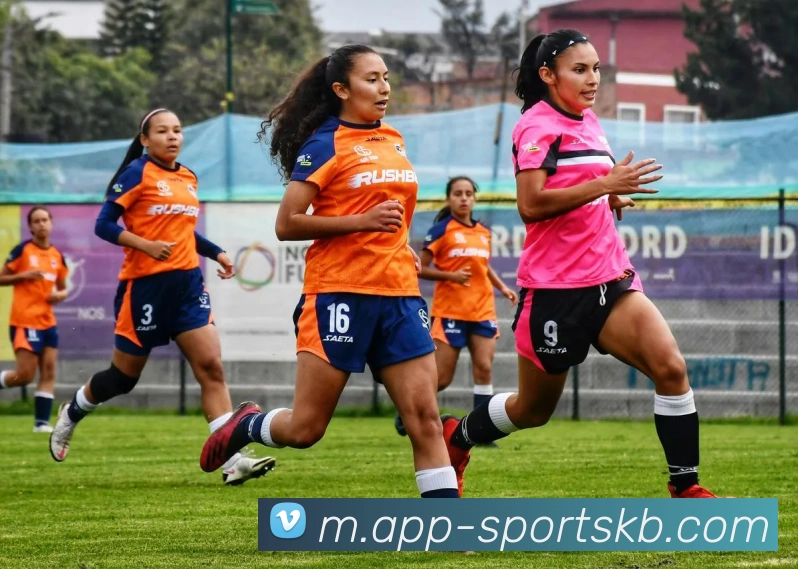 KB体育APP 封面图